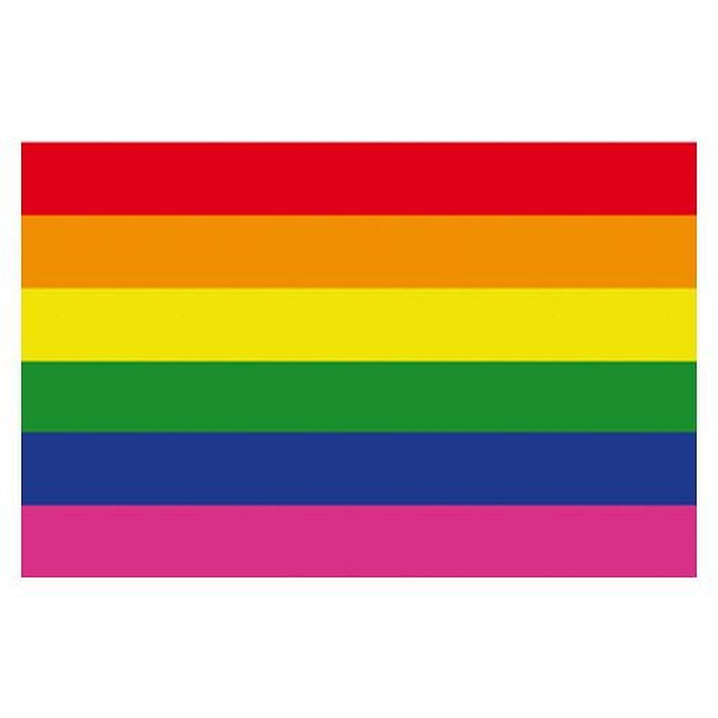 Rainbow Magnet Gay Pride flexible 4,5 x 7 cm