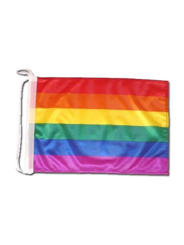 Boat Flag Rainbow Gay Pride