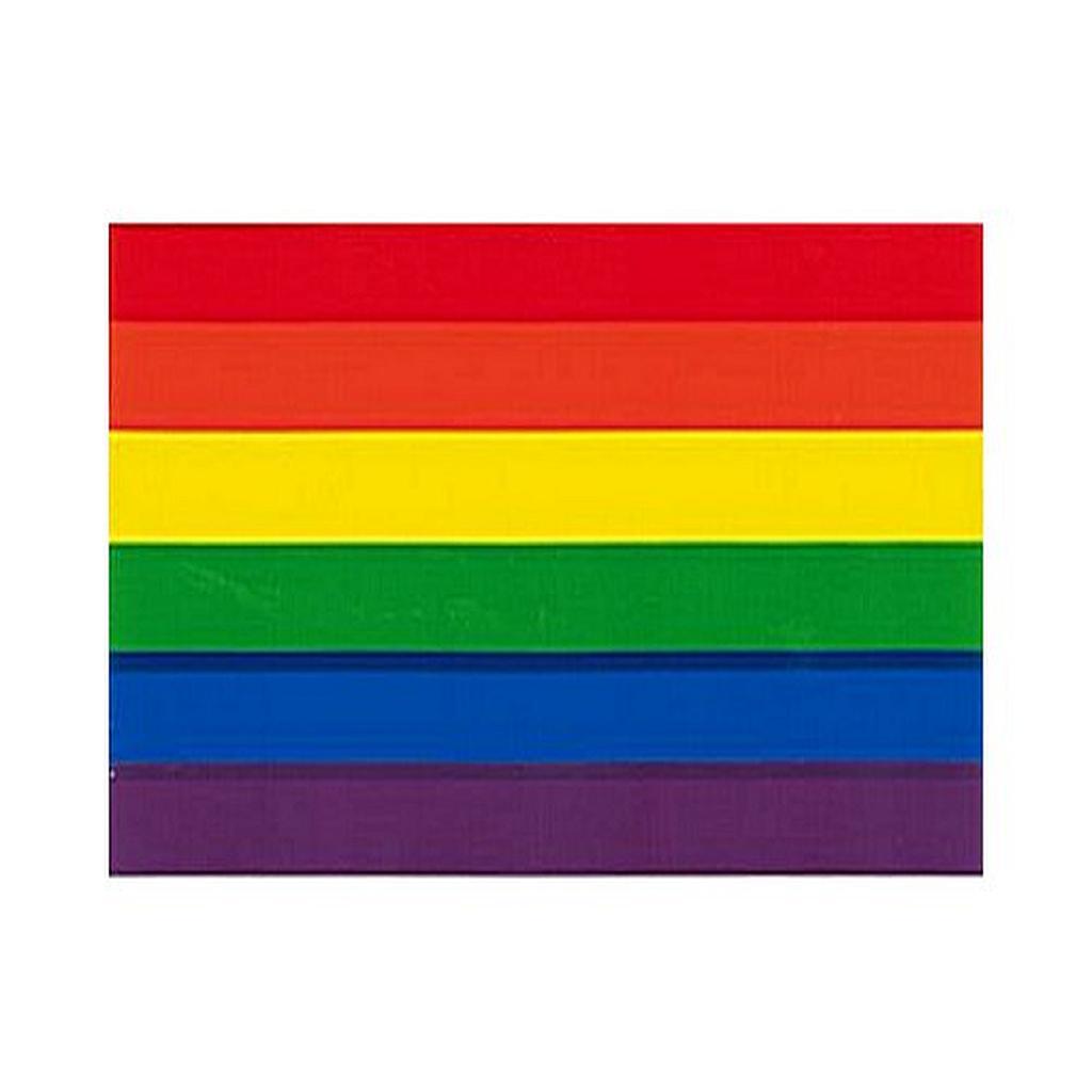 Rainbow Pride Sticker 9,5 x 12,7cm