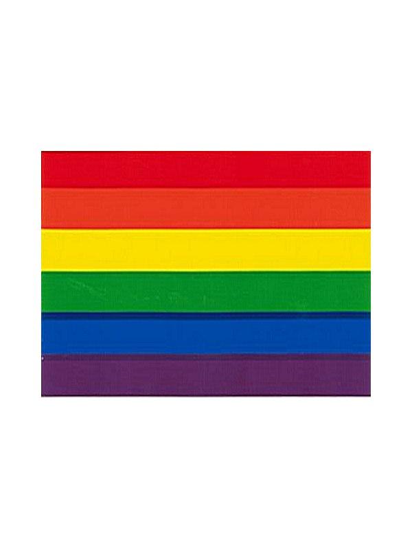 Rainbow Pride Sticker 9,5 x 12,7cm